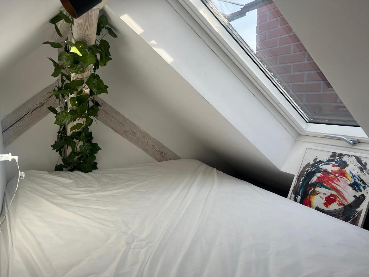 Attic Appart Torun Luaran gambar
